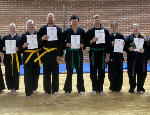 Karatekas stellten sich der DKV-Karateprüfung am 06.04.2026 beim SCU-Emlichheim eV